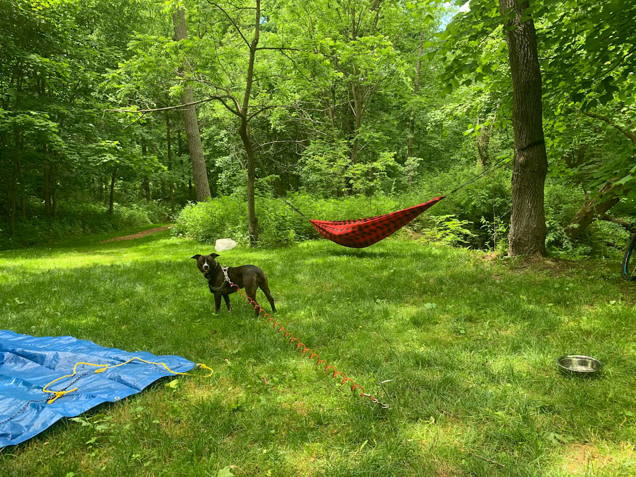 Pleasant Valley Farm Camp