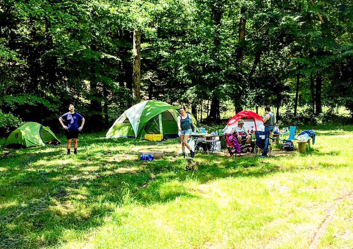 This is The Meadow site being enjoyed by campers and their dogs.
.