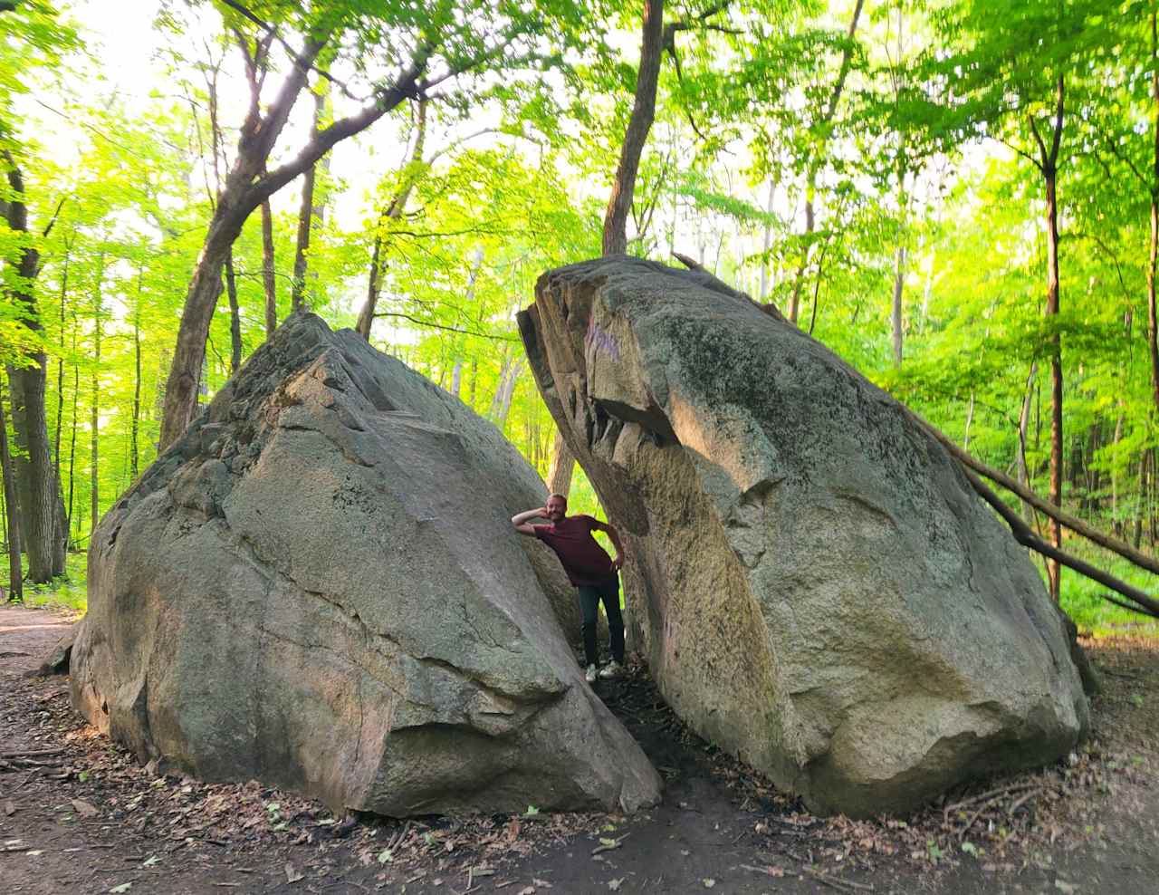 The Split Rock!  This enormous feature is a granite glacial erratic.  It was deposited here as the Wisconsin Glaciation receded approximately 18,000 years ago.  
Its natural split is wide enough to walk through and the view from the top is excellent!