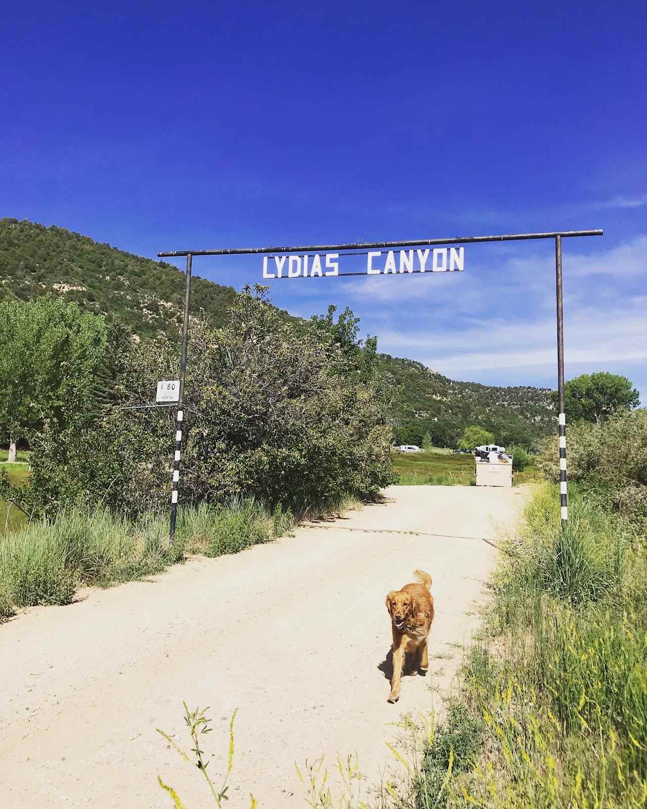 Zion Family Ranch Campground and RV