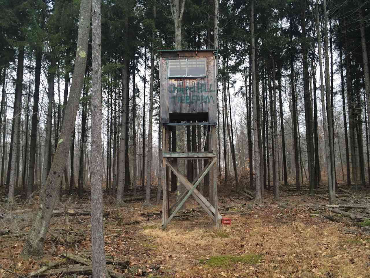 Our tree house for hunting and wildlife viewing