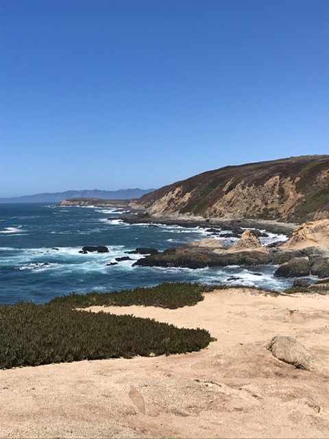 Bodega Head trail. 15 minute drive from campsite 