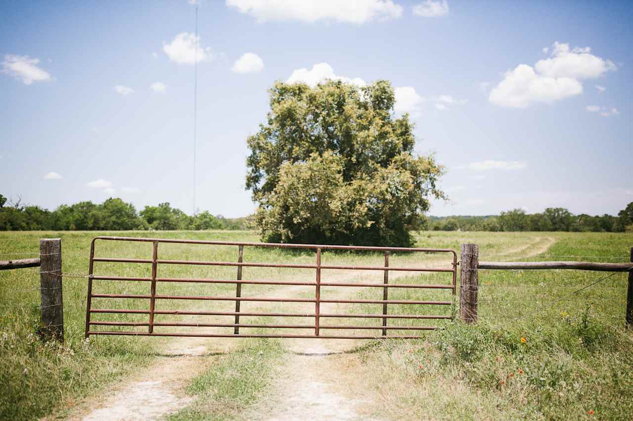 The entrance gate!