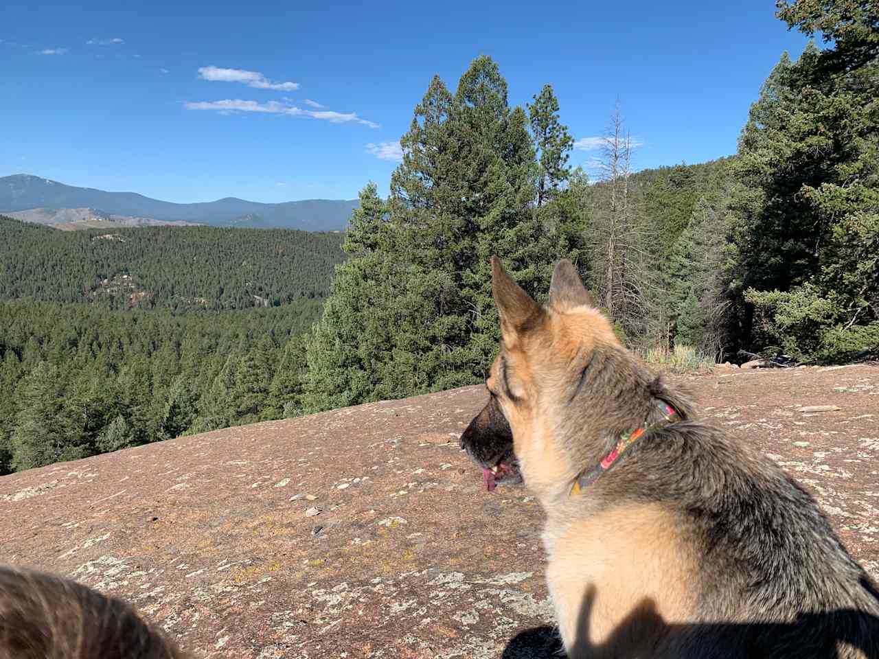 Serenity in the Foothills