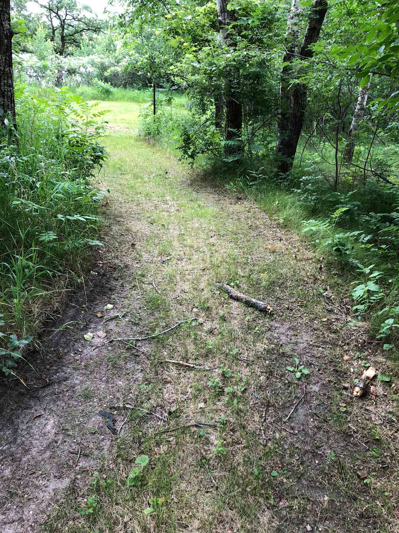 Path to the most rustic camping spot in the woods. Very private but the ground is at a slope and you are surrounded by mosquitoes! This spot is for the wild and brave ones! ;)