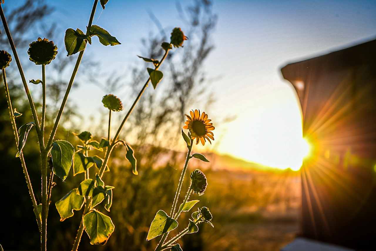 Sunset at the barn
Photography by @pearceyproper