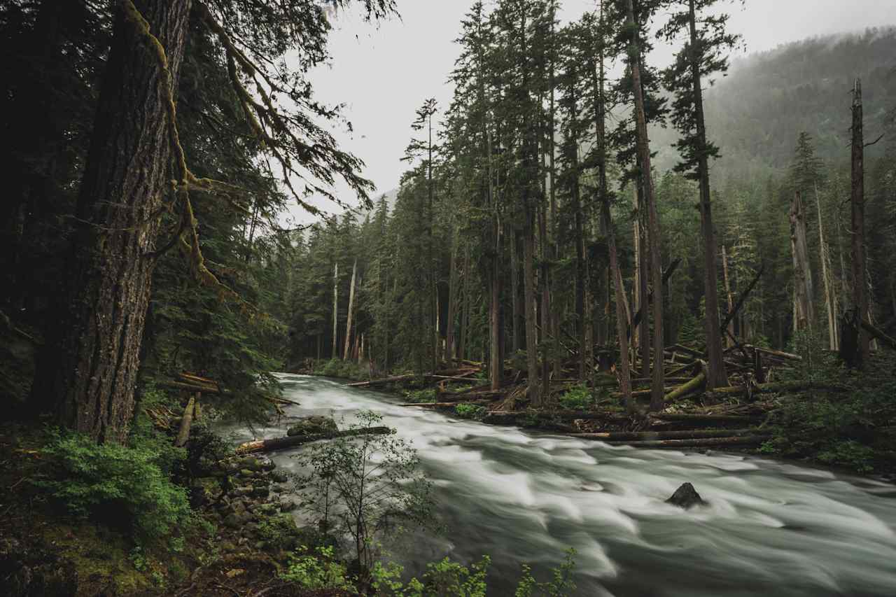 Beautiful campground. Sites are well spaced, plenty of room too explore, and amazing views. This was right behind our site! Would highly recommend.