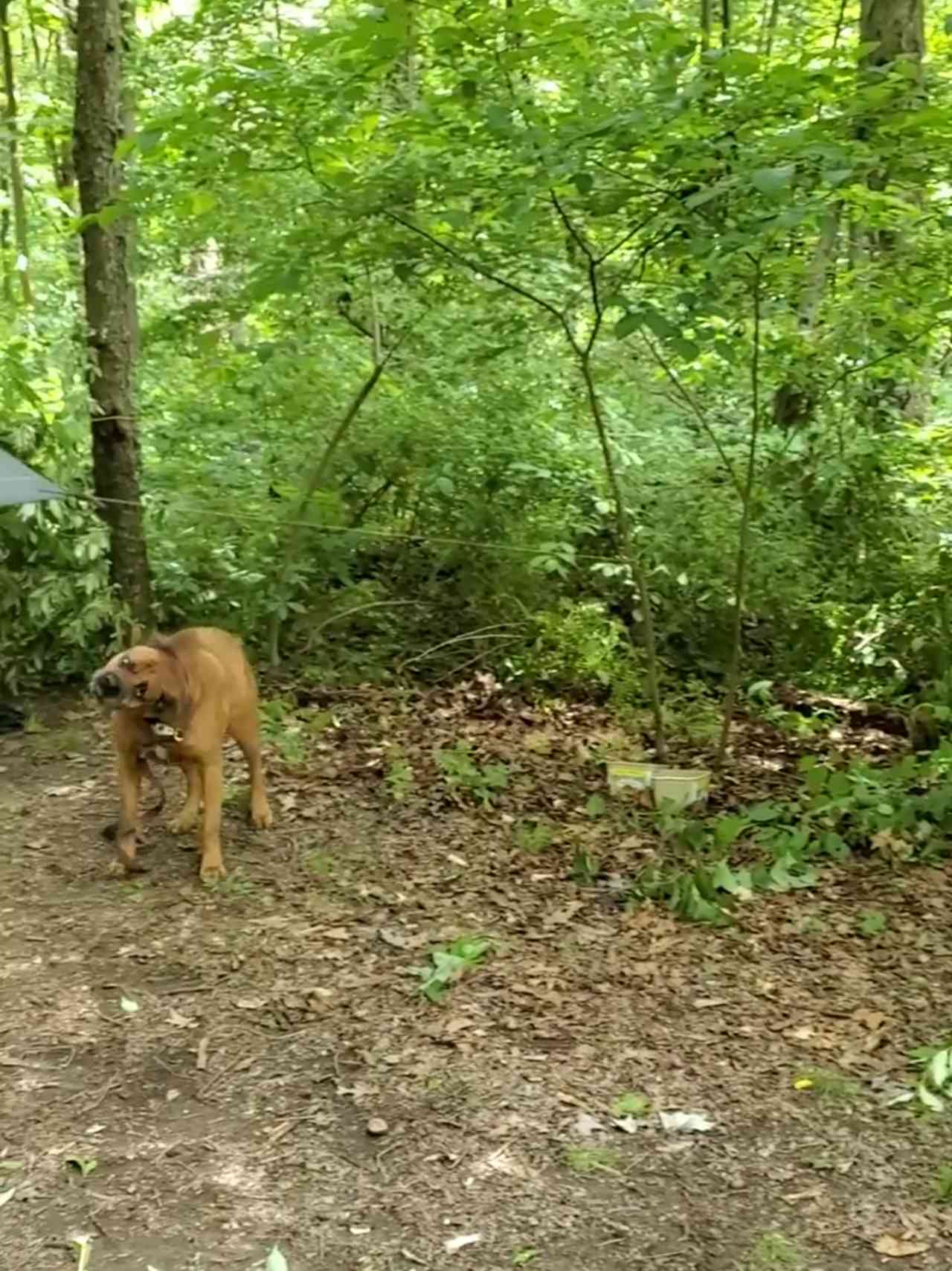 The Turkey Hollow Campground