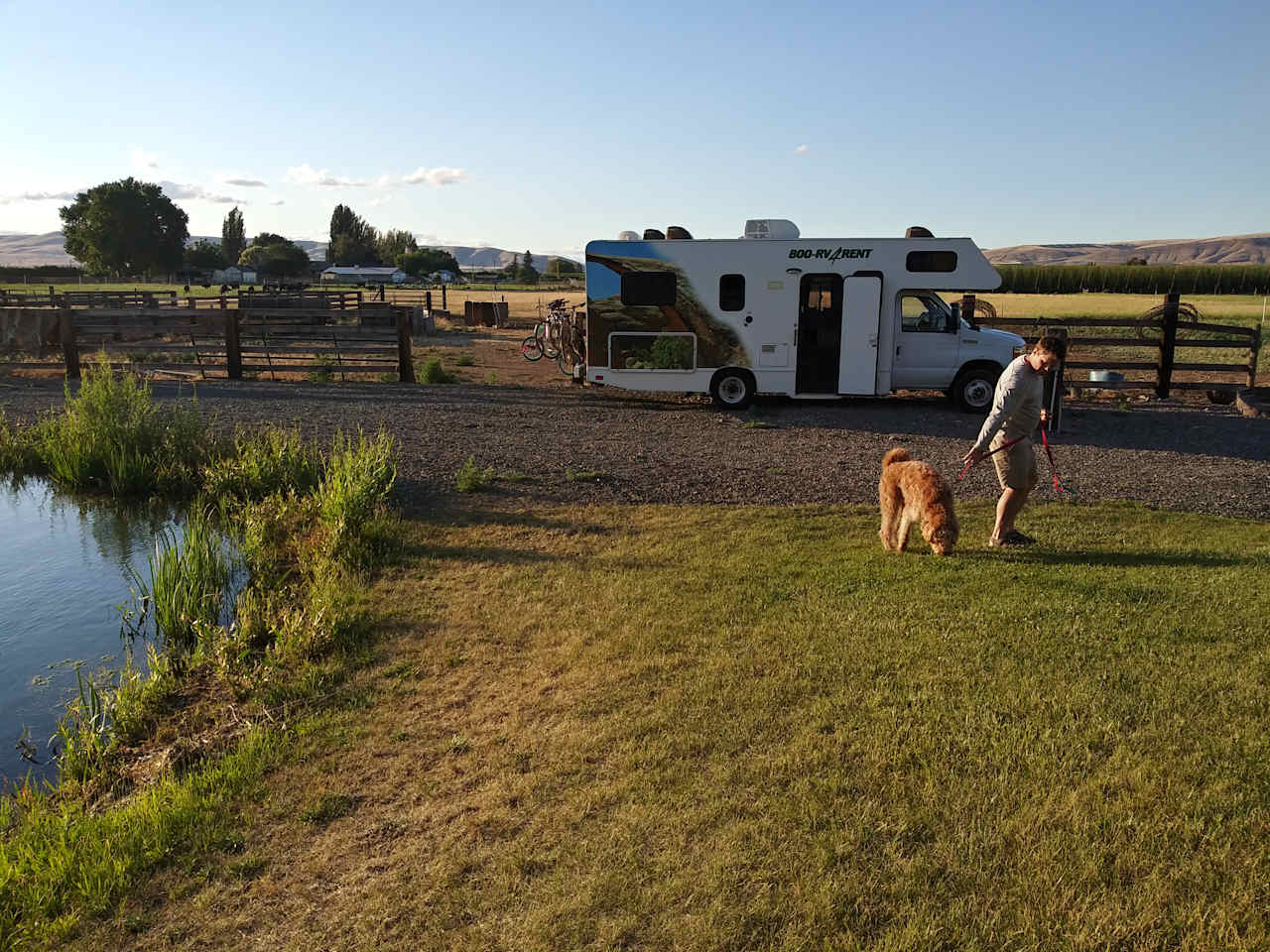 Willow Barn Ranch