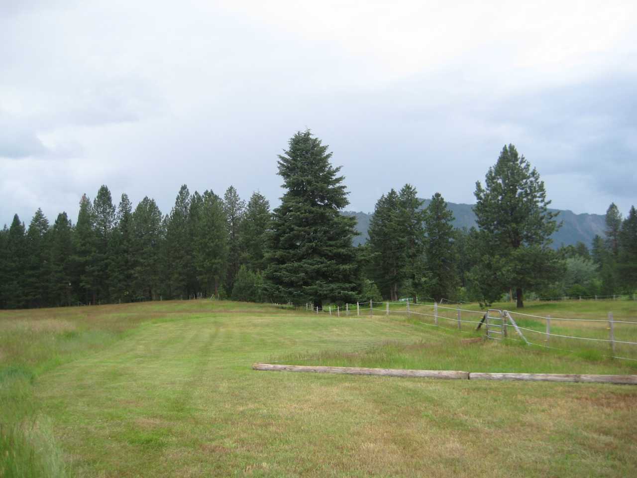 Nice Green Area to set up and take in the panoramic scenery. Lots of room to spread out. Porta Potty and Water Available.