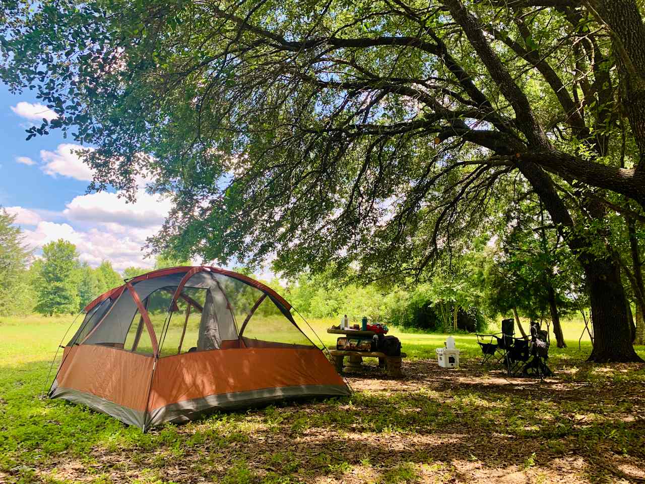 Our beautiful shady campsite next to a field of berries. 