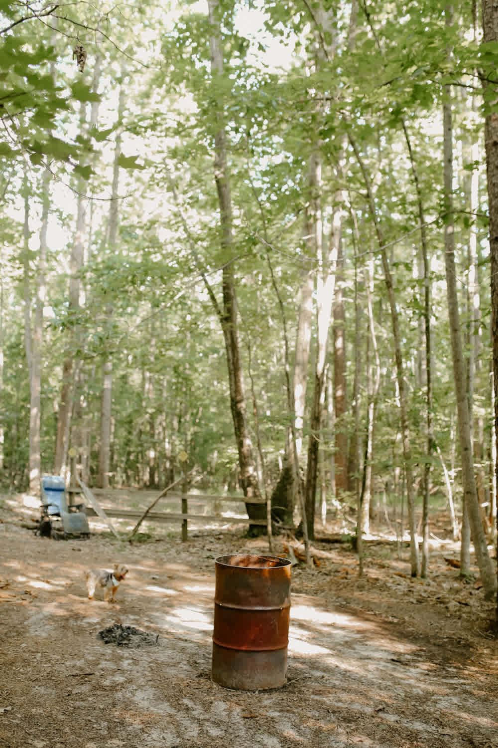 The second campsite just a short ride through the woods away from the main house