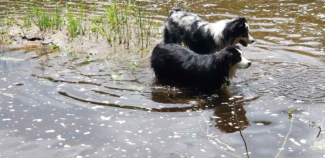 Walking around river on plentiful rocks