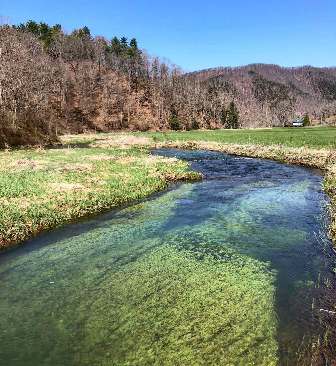 Be on the lookout for beavers and trout!