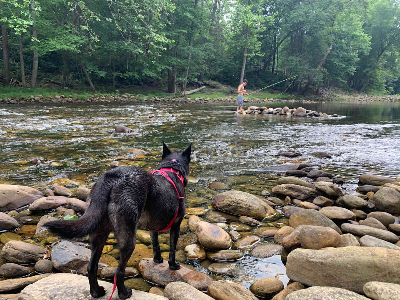 Some fly fishing