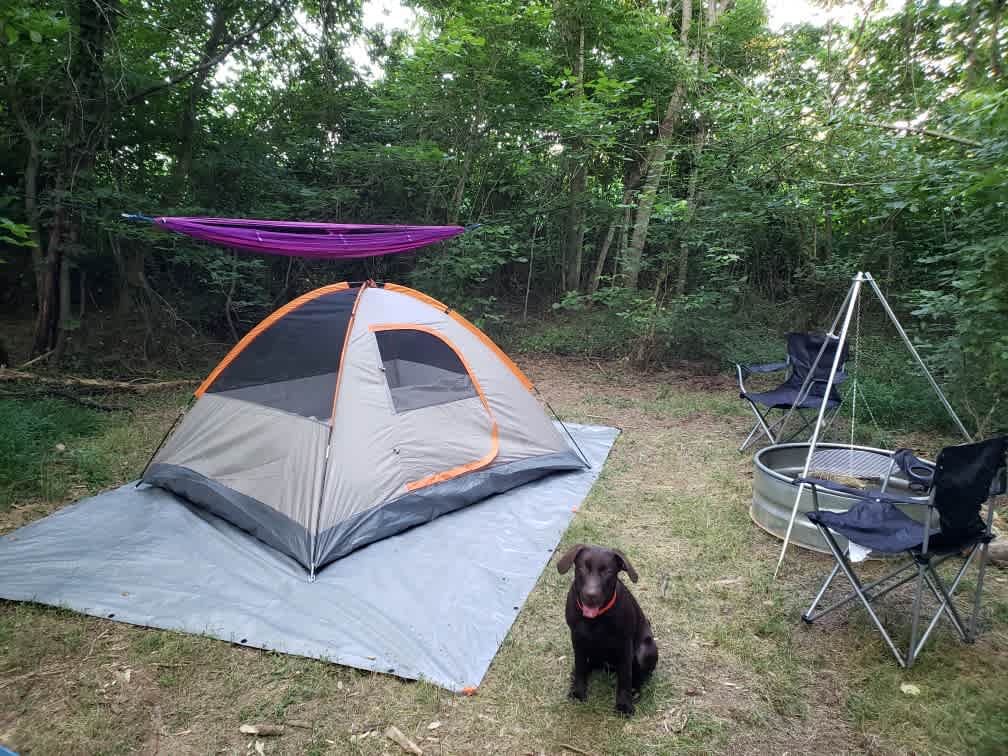 This was our camp setup at site 11