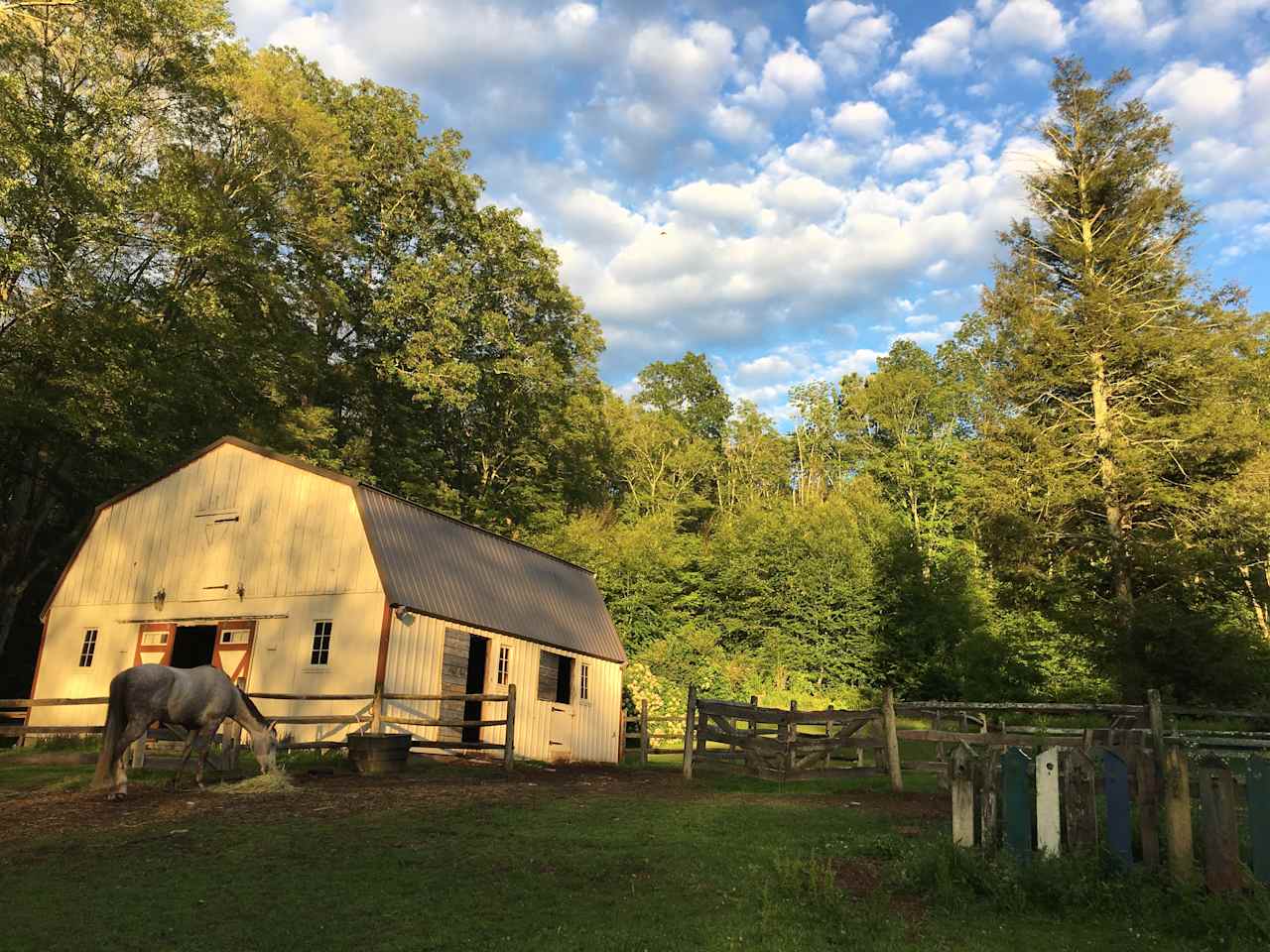 The Barn! that sleeps 16+ people and just shows how gorgeous this property is.