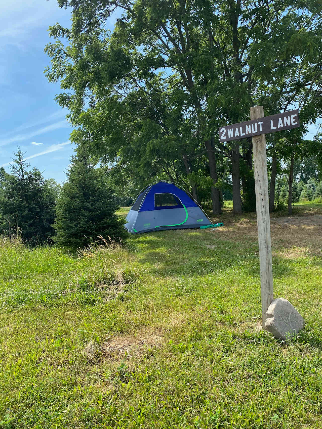 Pioneer Trails Tree Farm Campground