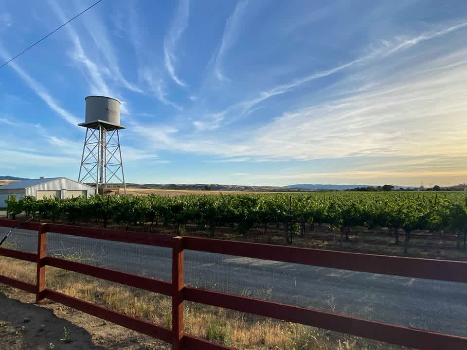 Winery Camping