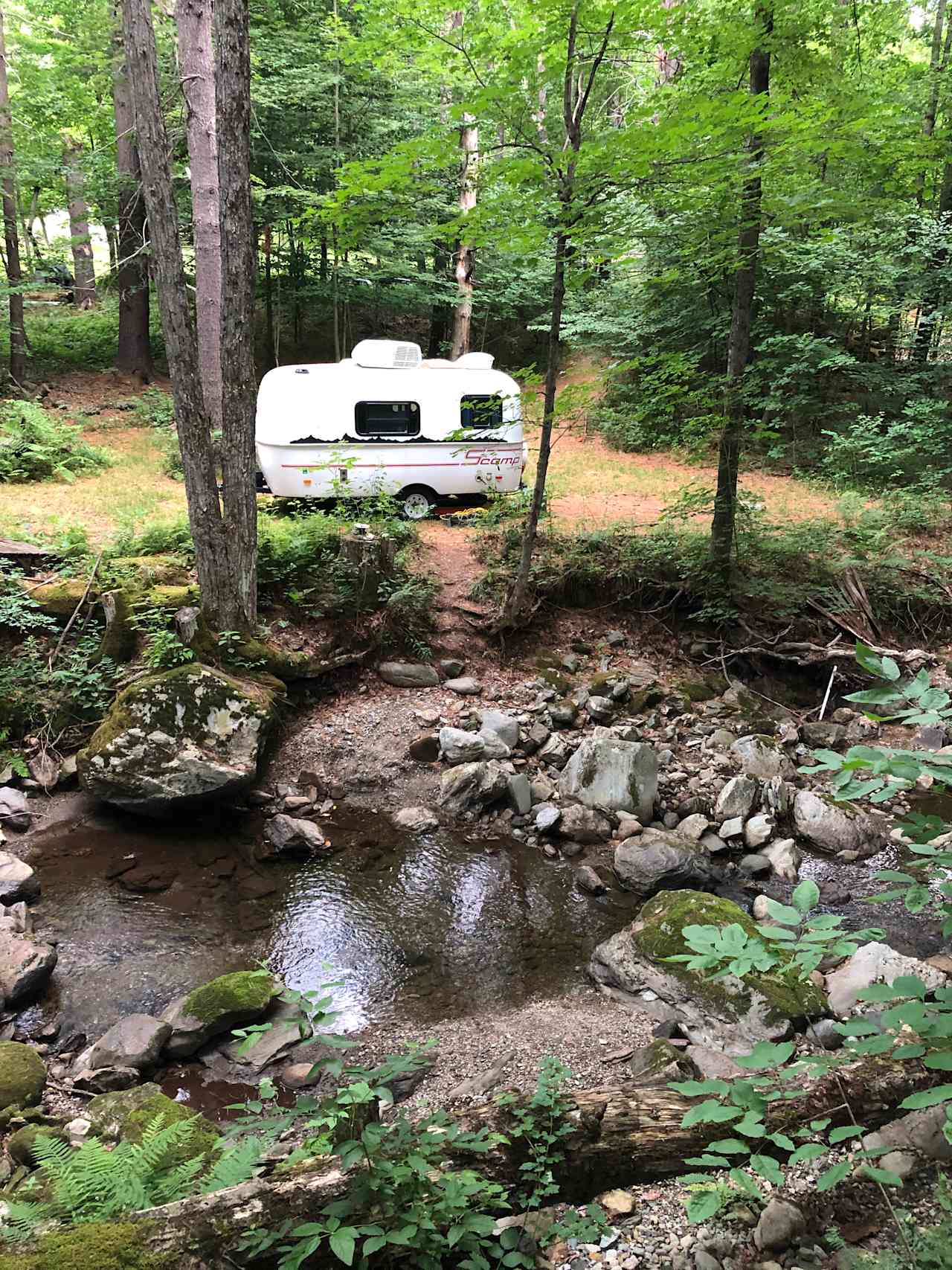 View of site from Texas Hill Brook