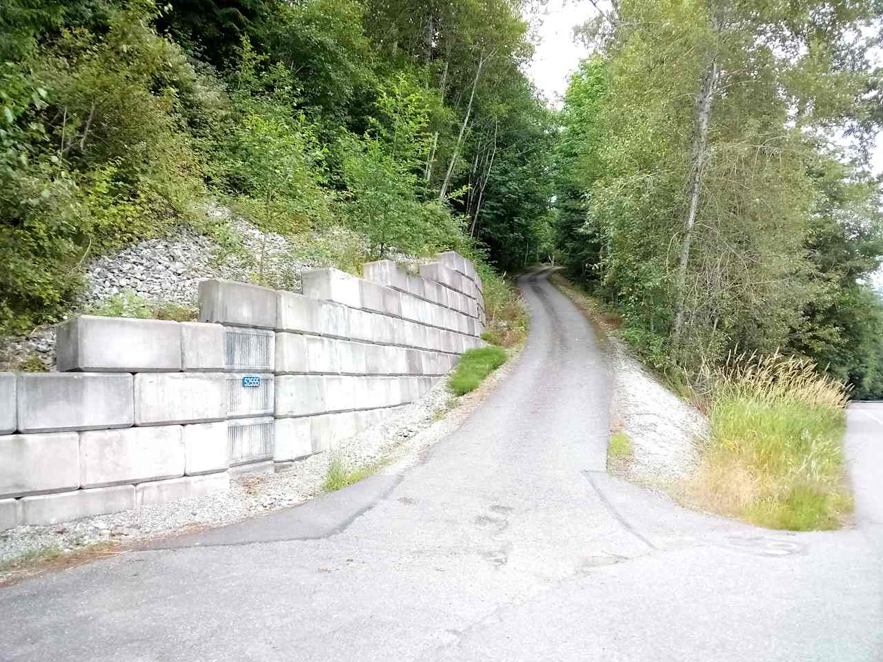 Looking up the driveway