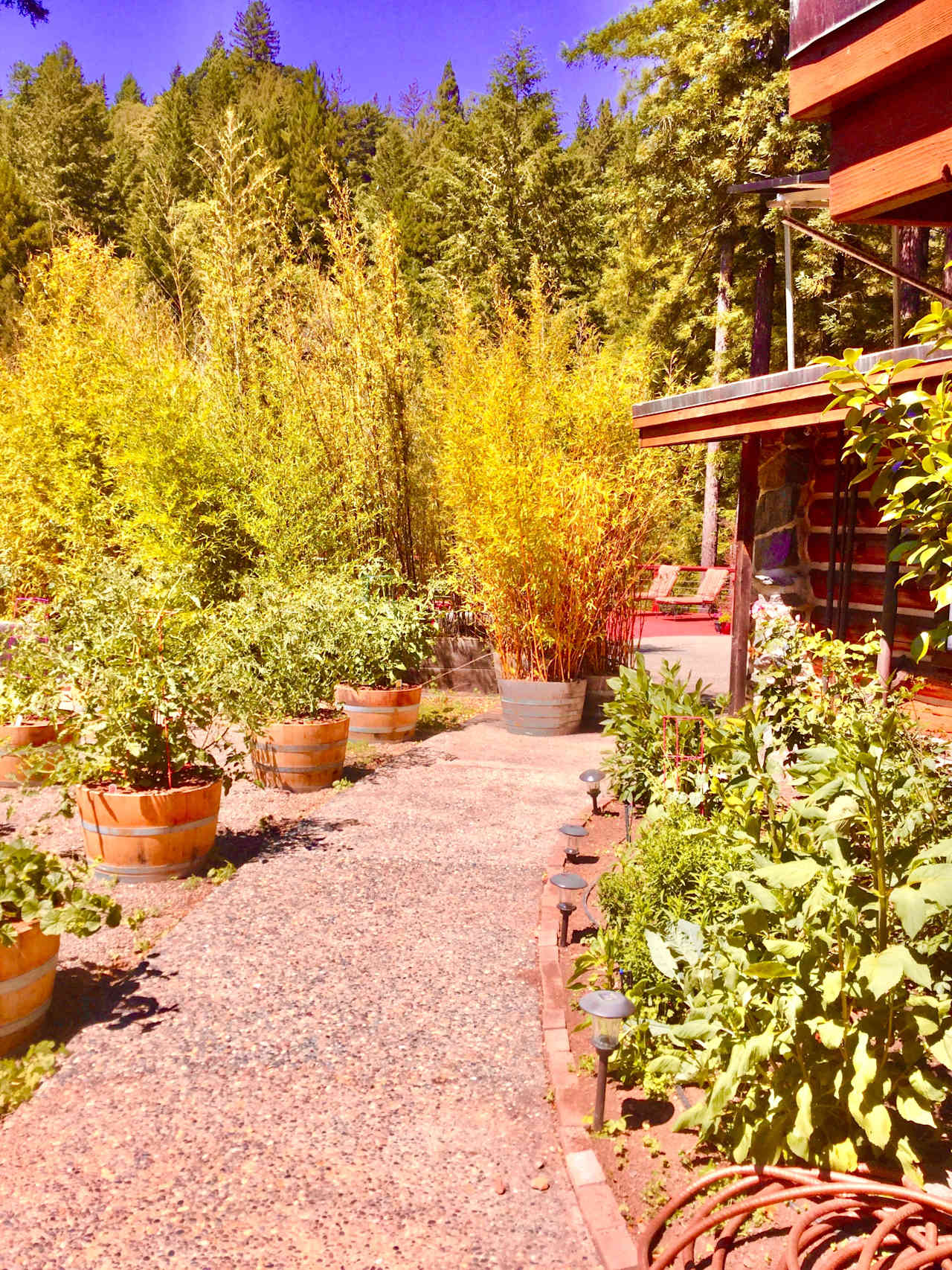 The walkway from your reserved parking spot. 20 steps to the Tree House, pool, spa and sauna.