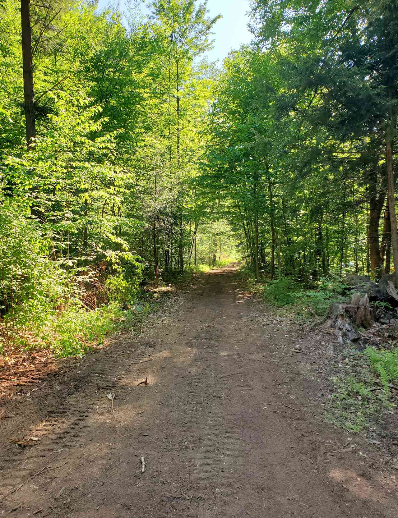 Trail into campsite #1, Southernmost Point.