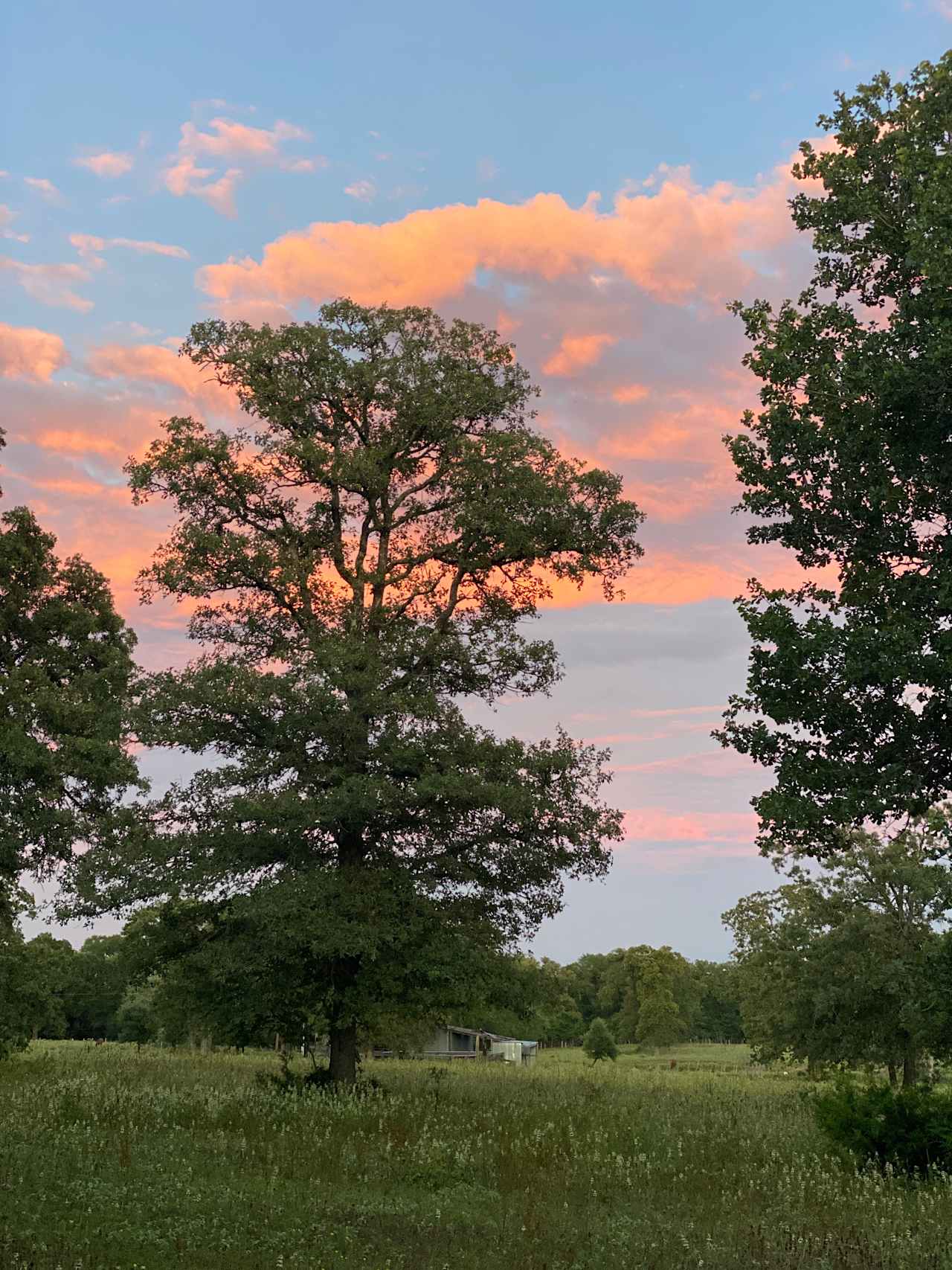 Great sunsets by the firepit!