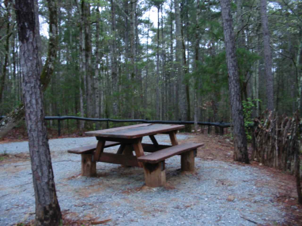 The Bent Elm Knoll picnic table was mostly milled from old fallen trees. Some salvaged lumber was used but the centre leaf came from an old single room home with dirt floor.