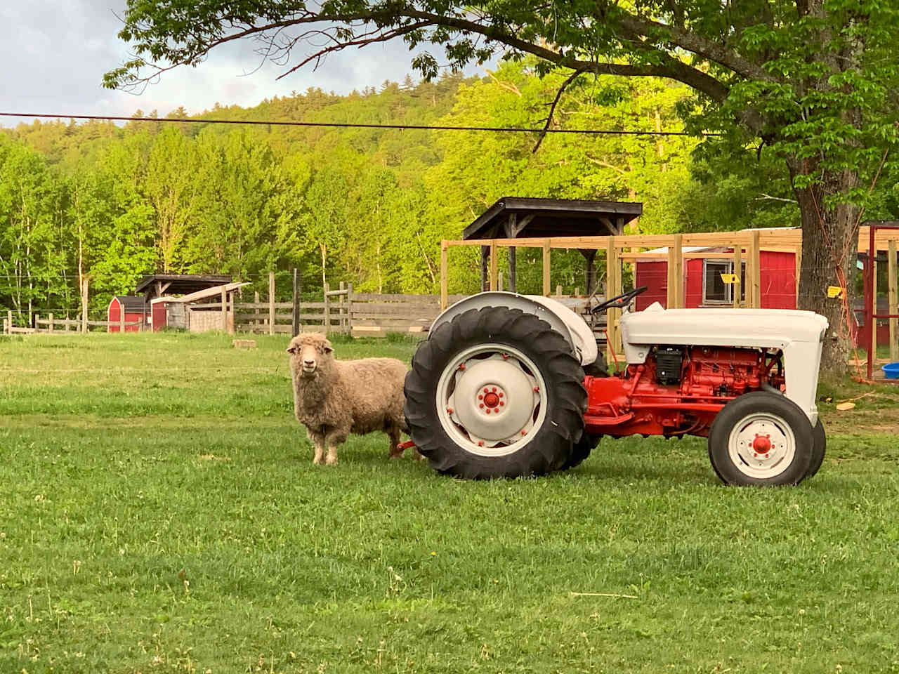 Browns Ridge Family Farm!