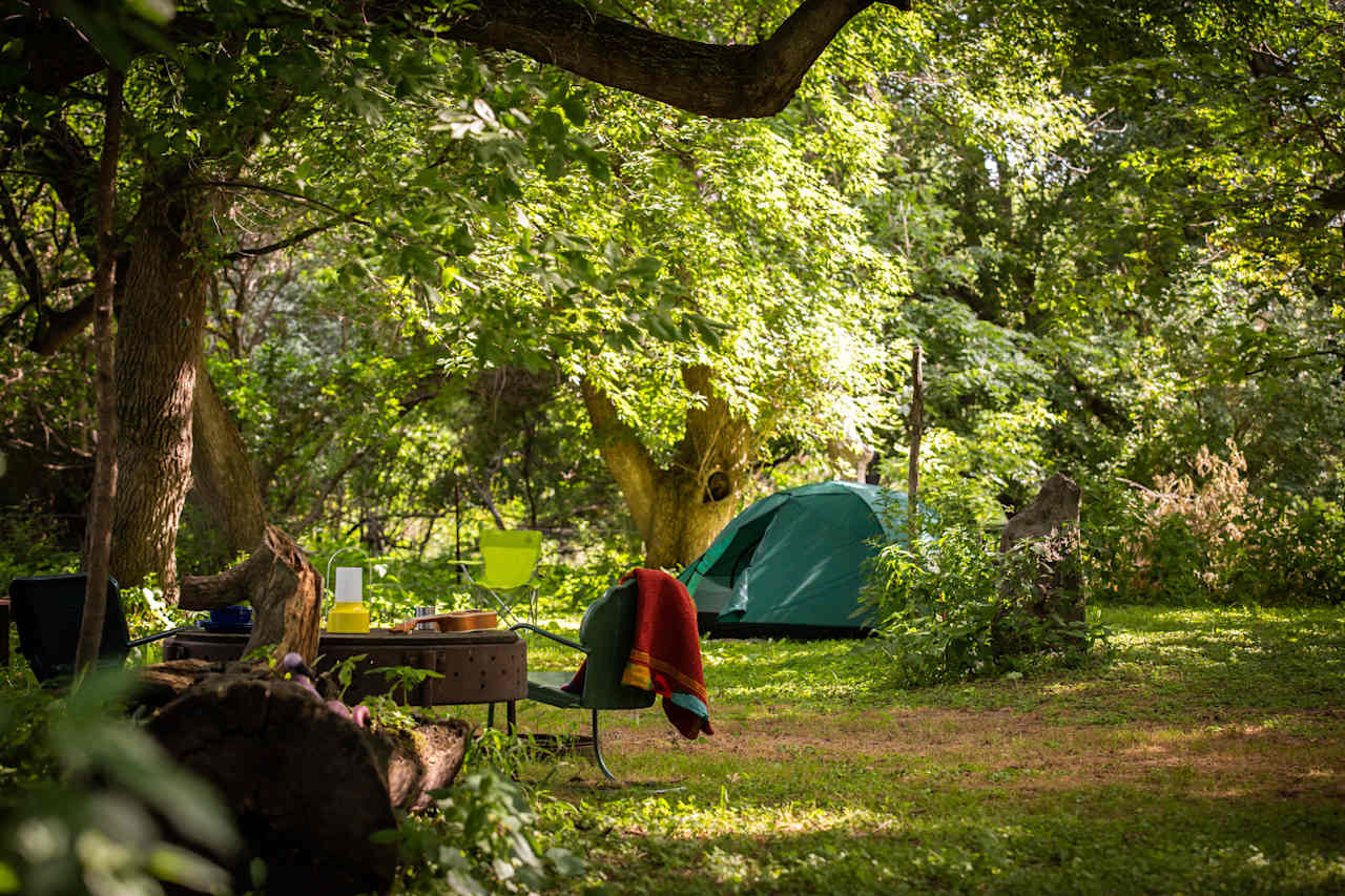 Auntie's Grove offers enough space to pitch your tent exactly where you want it!