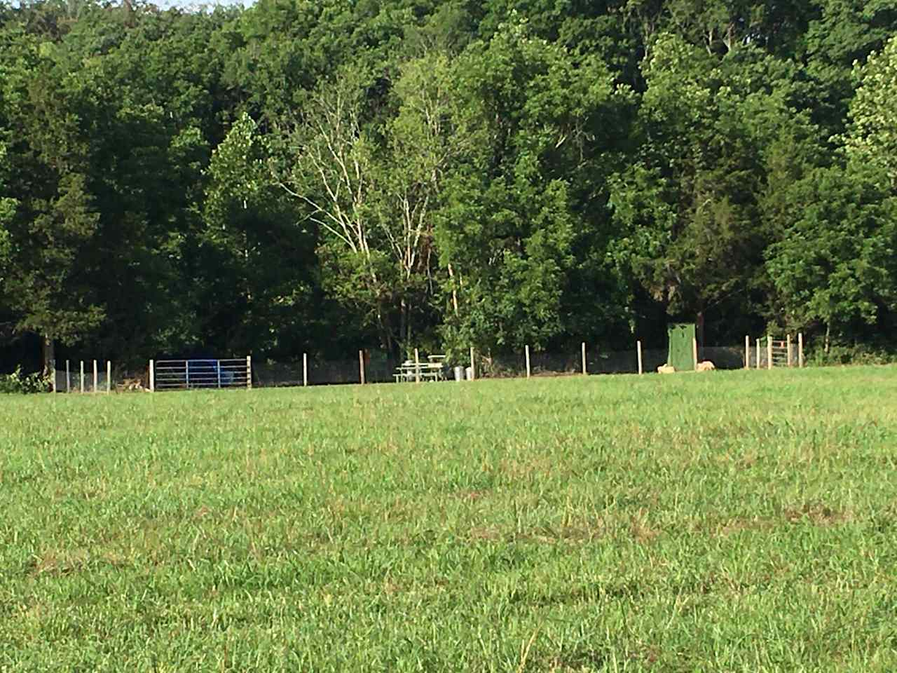 This spacious site is at the far edge of one of our hayfields/horse pastures.  You can see the outhouse is a comfortable distance from the main area.