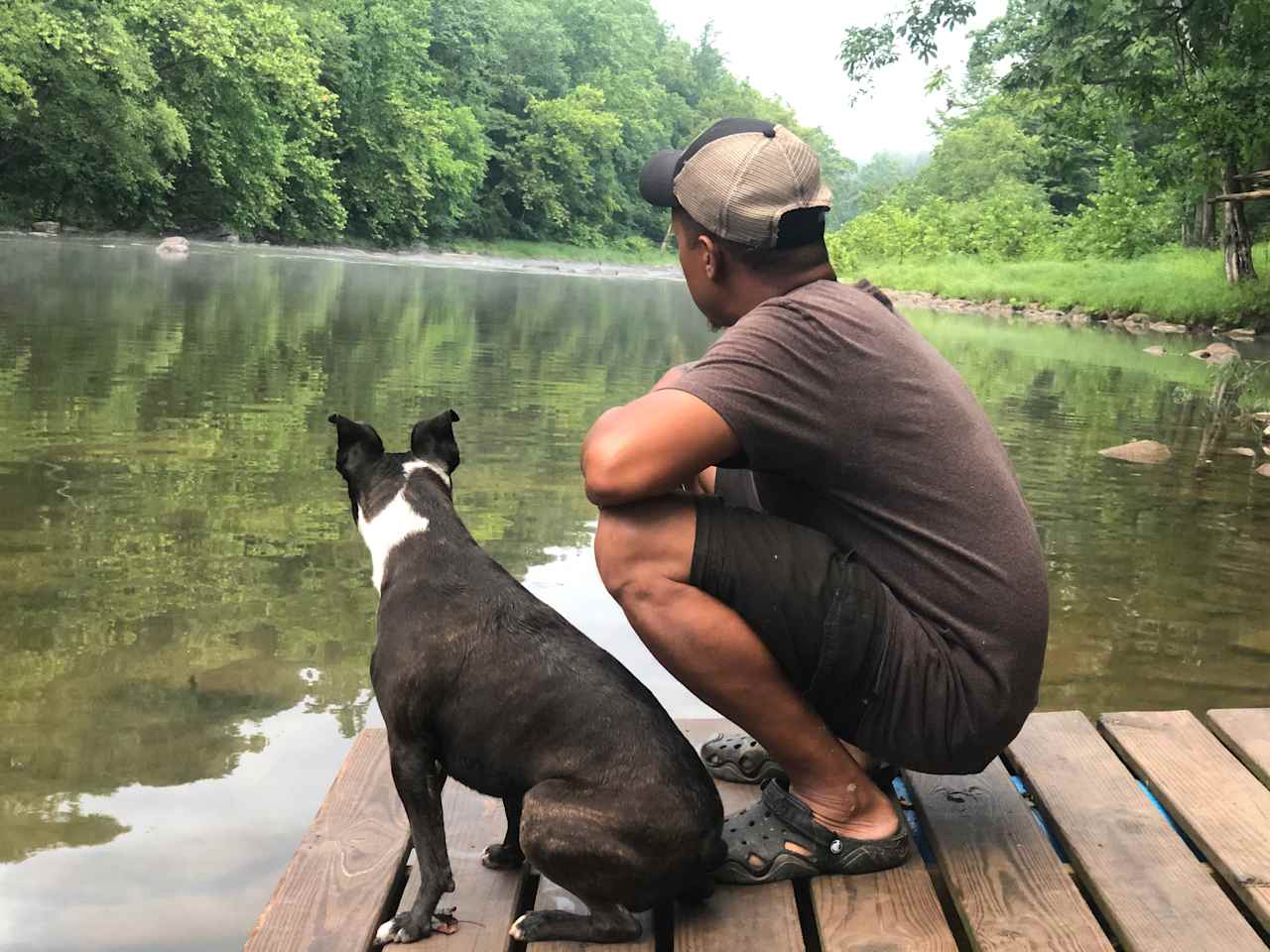 The Byrd's Nest on the River