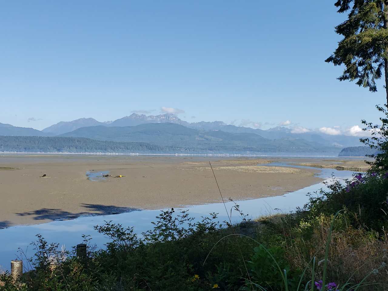 Fischer's Place on the Estuary