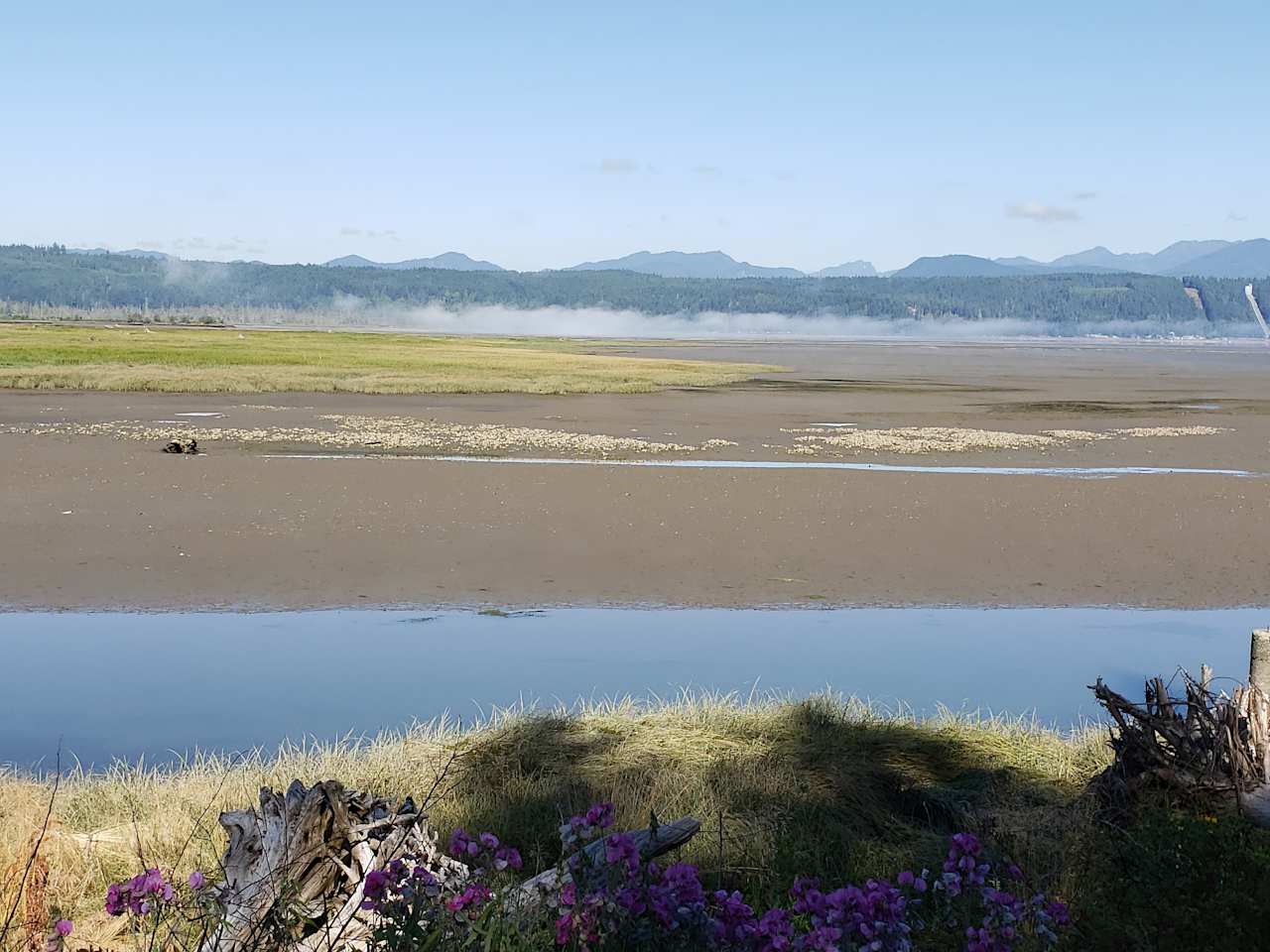 Fischer's Place on the Estuary