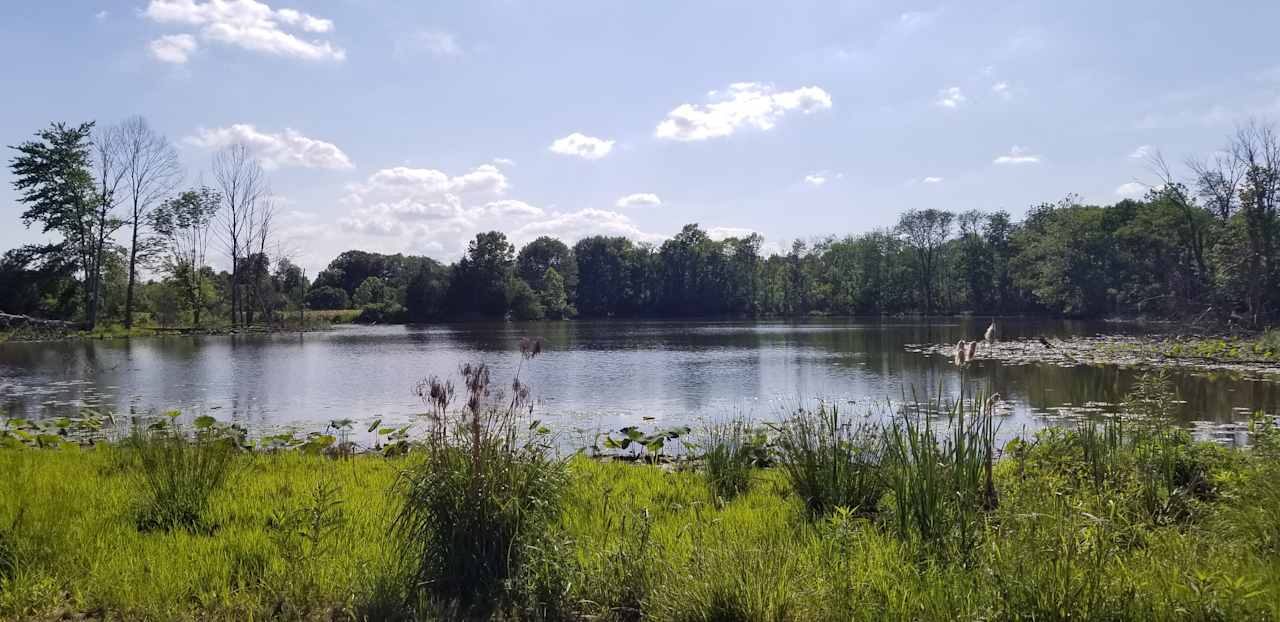 View of Big Lake - Perfect for Kayak or Canoe