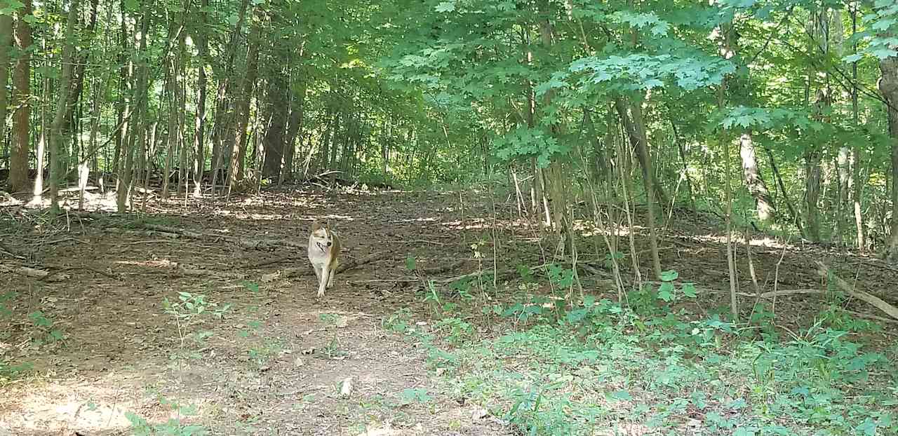 Hiking Trail
