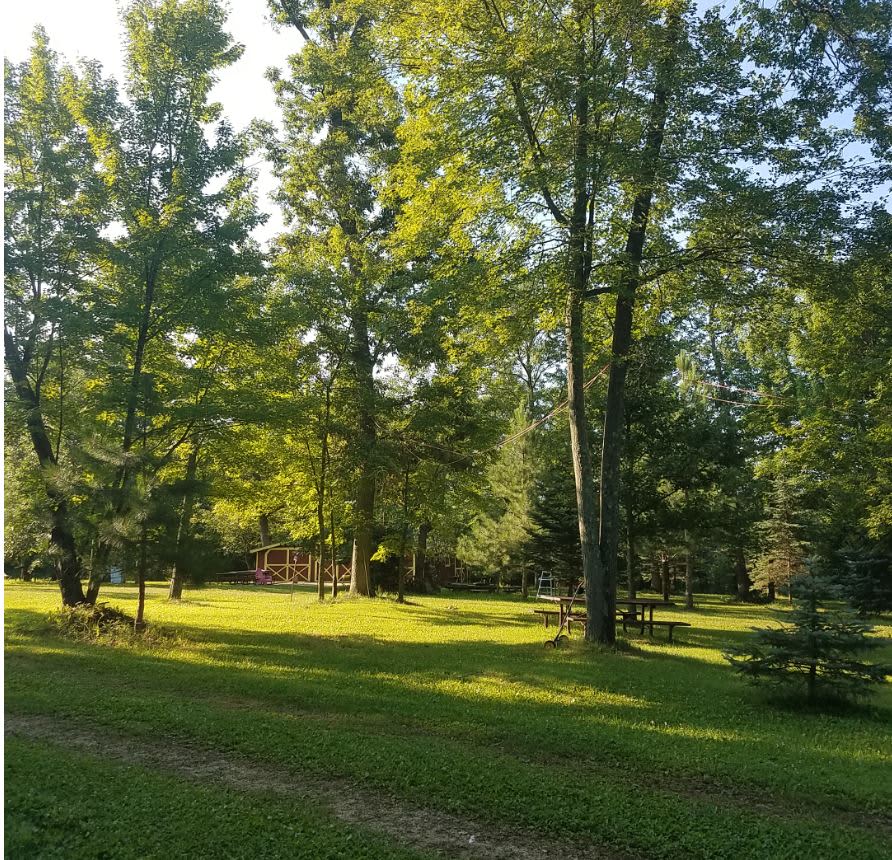 The Hill Family Camping