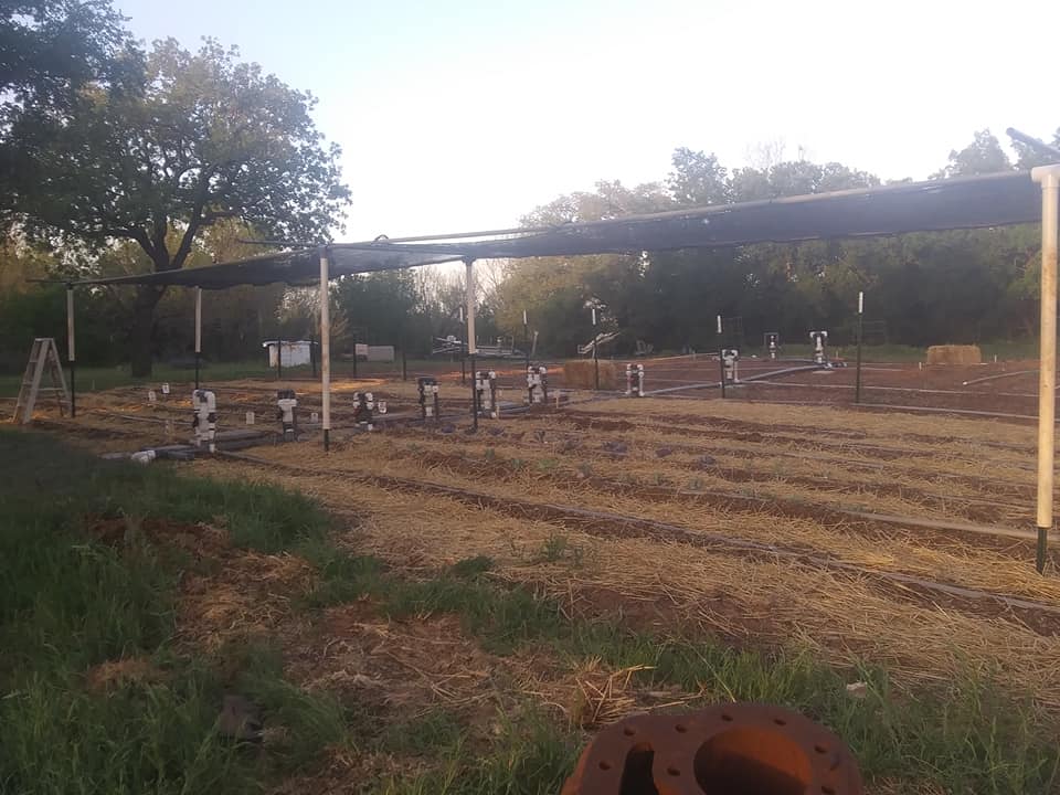 Our seasonal garden. We grow as much of our food as we can in the spring