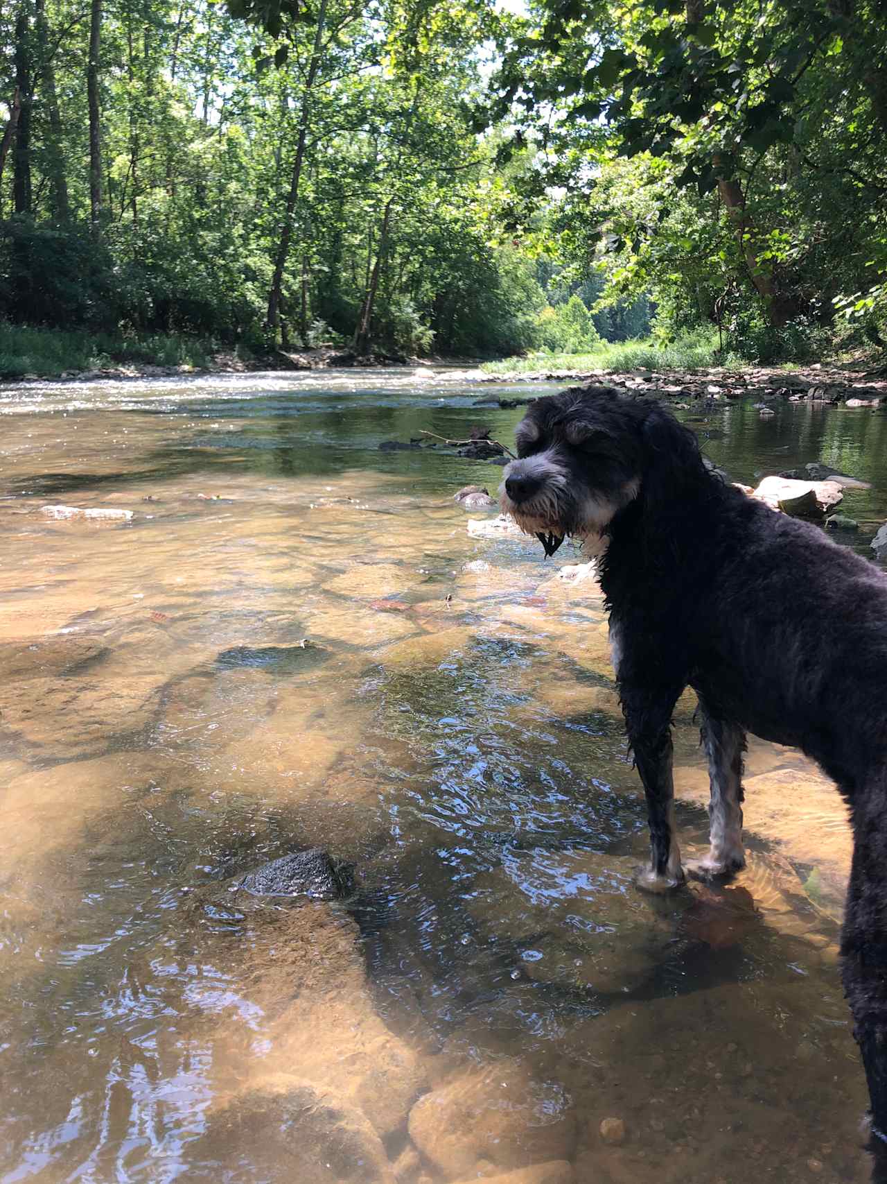 Todd’s Fork Adventures