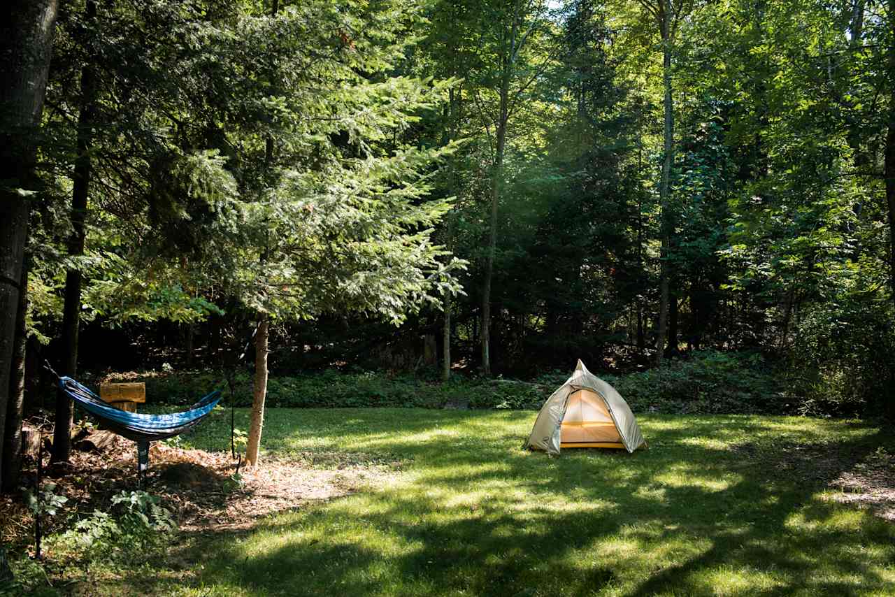 Secluded campsite, complete with trees just begging for a hammock