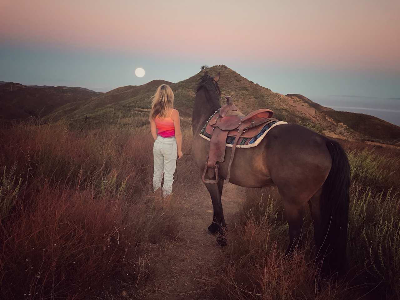 Private Horseback Rides leaving from the property! 