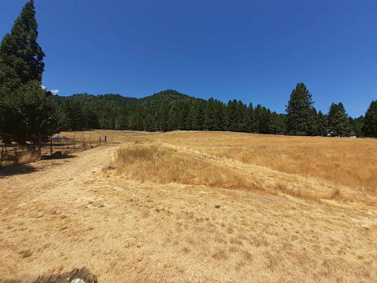 View looking up the property. Our dogs are on the left side of the fence in the backyard. 