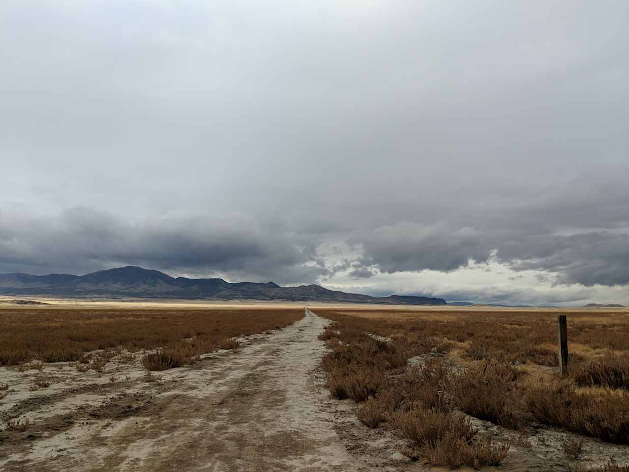 Welcome home. The bluish greys of the mountains and sky complement the greenish browns of the sagebrush and the vast sandy playa.