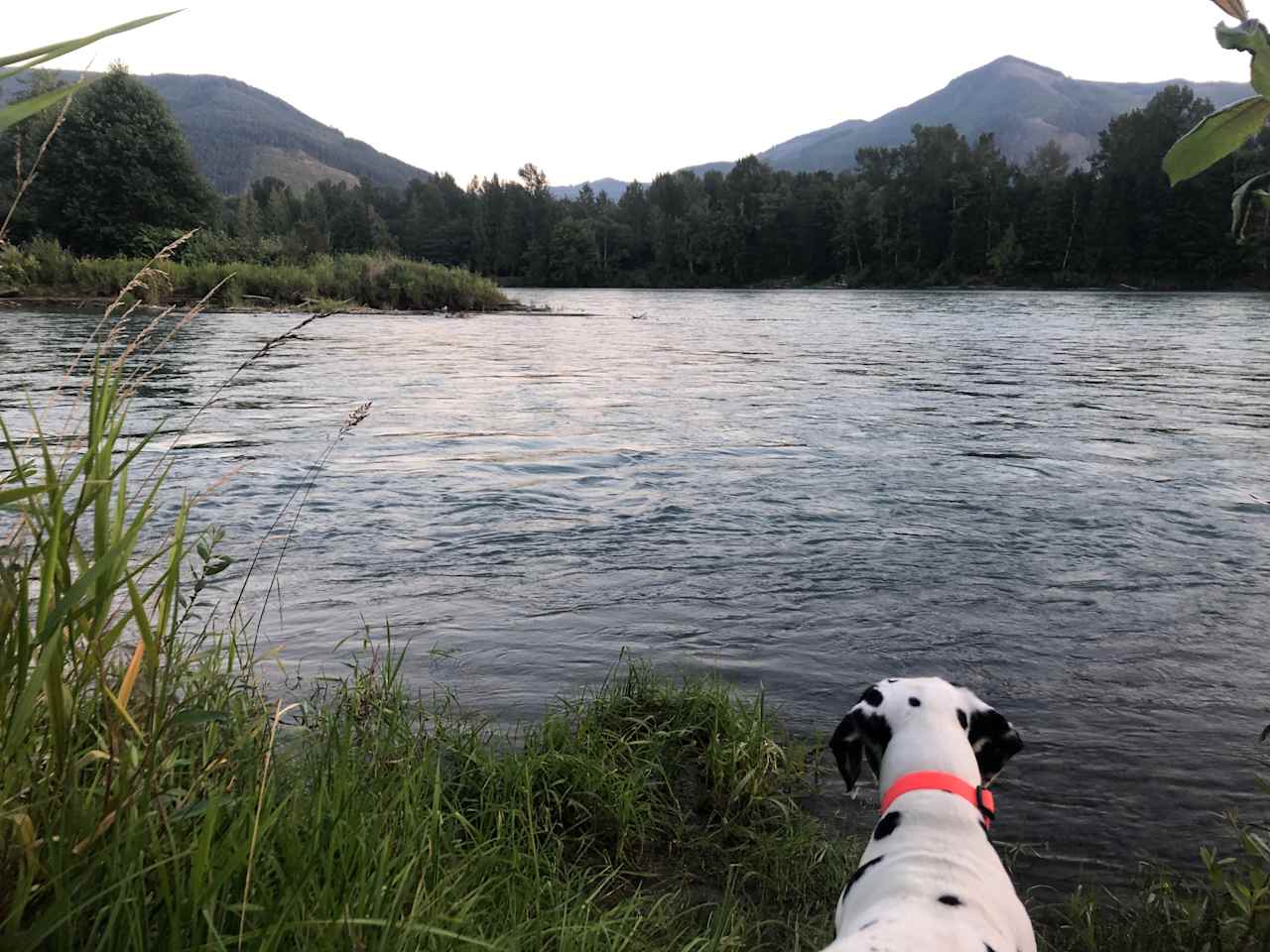 River front. Our dog isn’t a swimmer, but if yours is, beware the current seemed quite strong. 