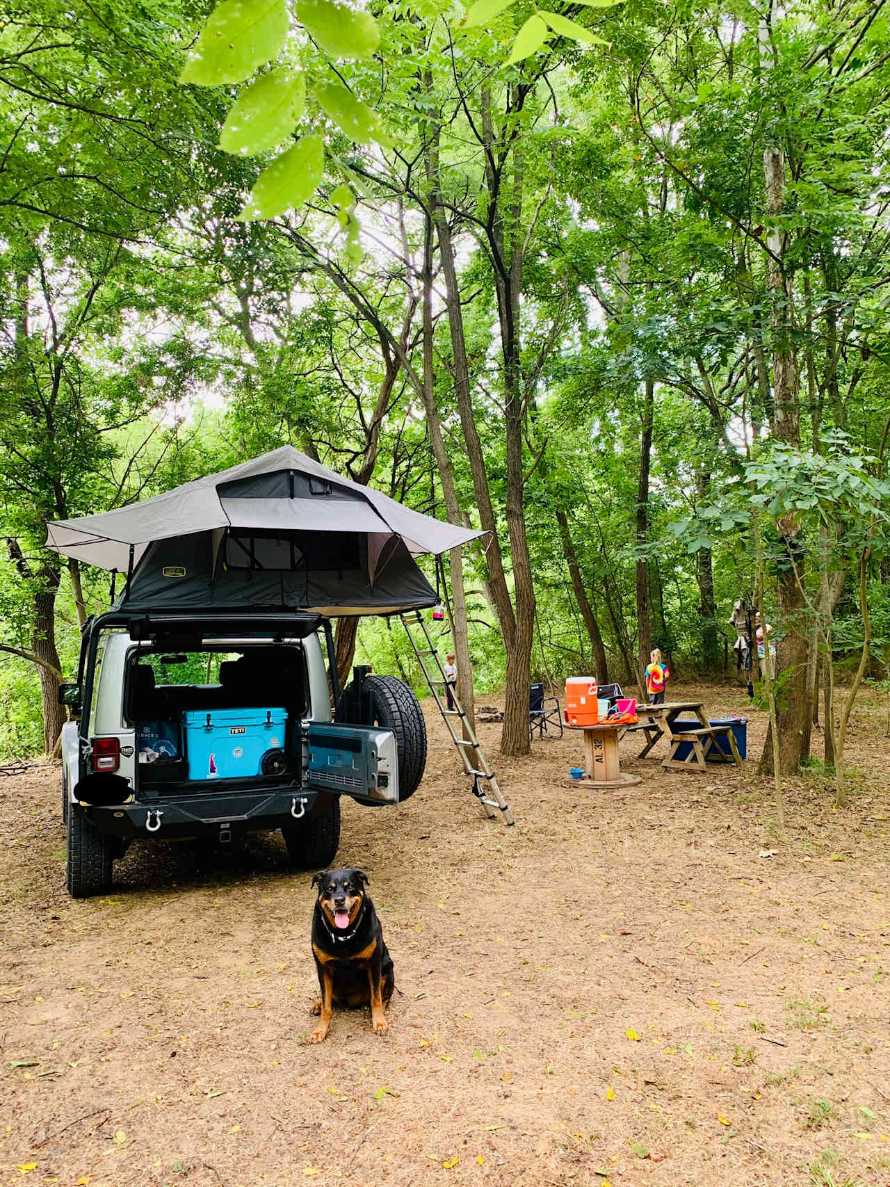 Our set up! (Our dog modeling so well)