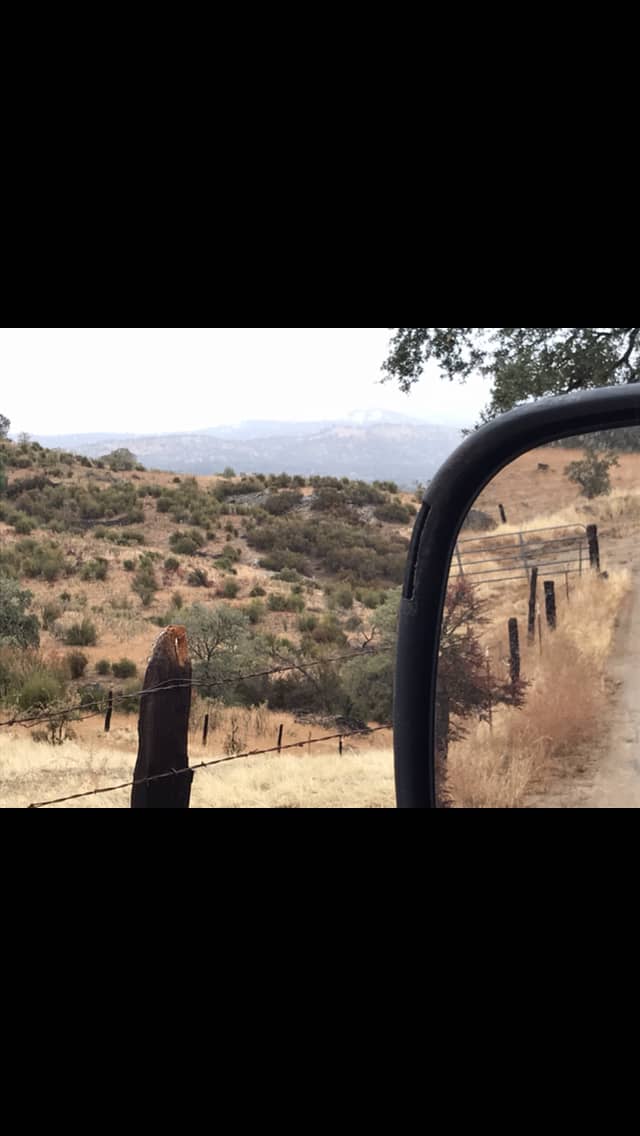 Driving down the dirt road headed to the land. 