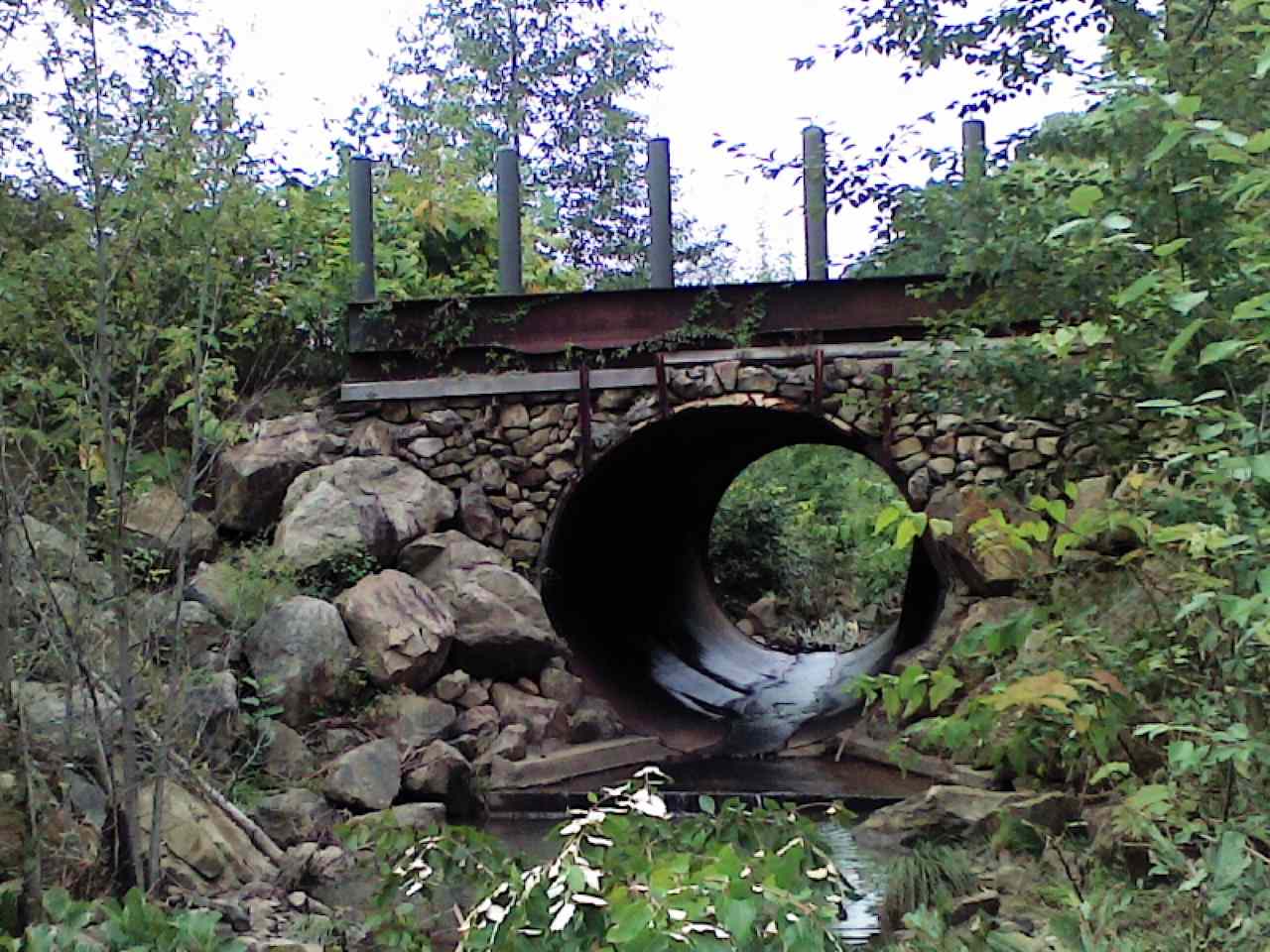 Crossover bridge and the new flow channel and established vegetation.