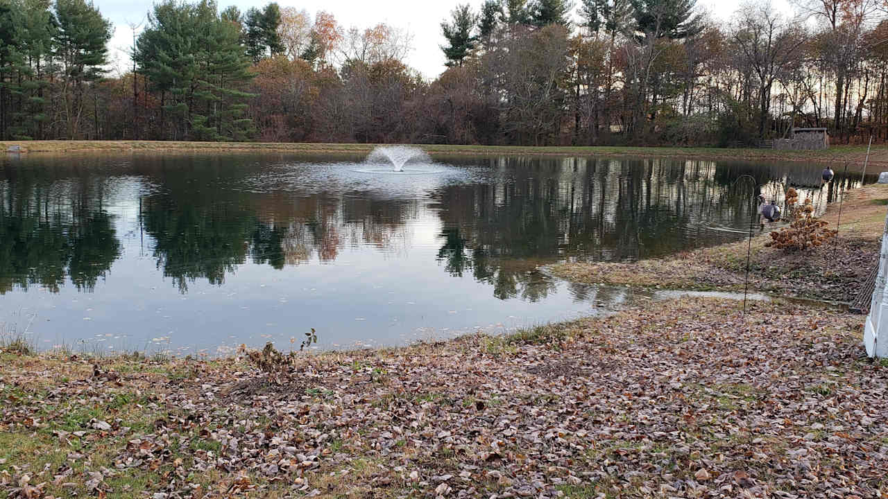 Fawn View Farm, Pond & Fields