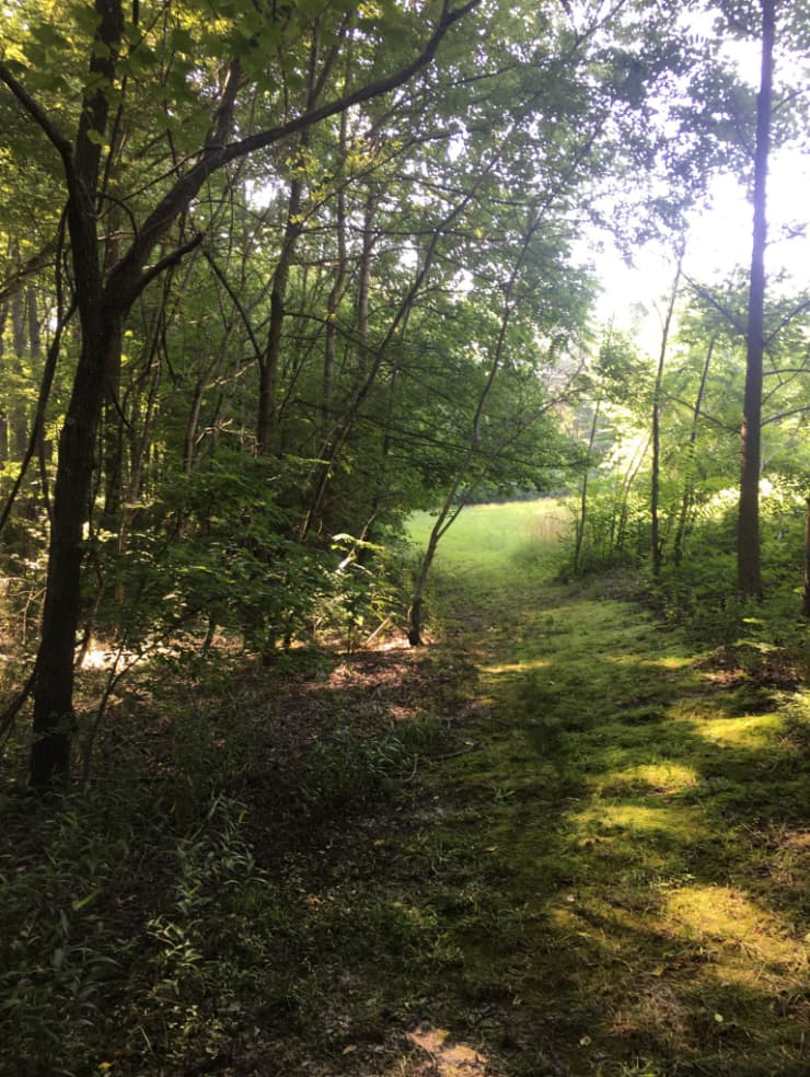 One of the trails leading through the woods where you can sit in a peaceful setting for as long as you like.